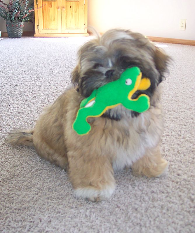 Oliver loves his Froggy