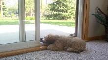 Watching outside