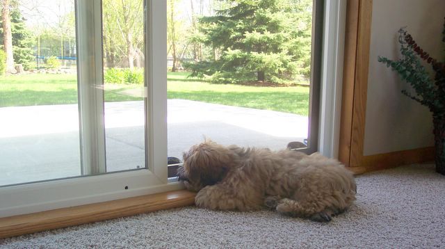 Watching outside