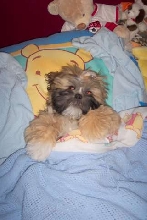 Tucked in for the night