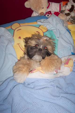 Tucked in for the night