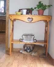 Oliver's favorite spot to lay