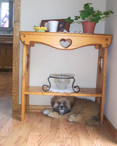 Oliver's favorite spot to lay