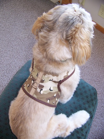 Back view of the harness vest