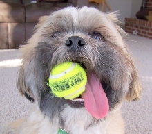 My favorite ball!