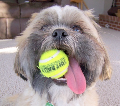 My favorite ball!