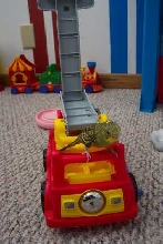 Firefighter Bird to the Rescue!