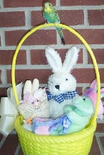 Happy Easter from Kiwi!