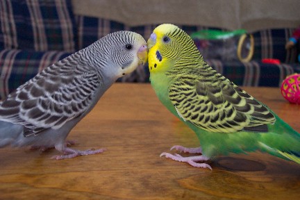 The first meeting!