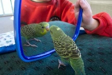 First look in the mirror