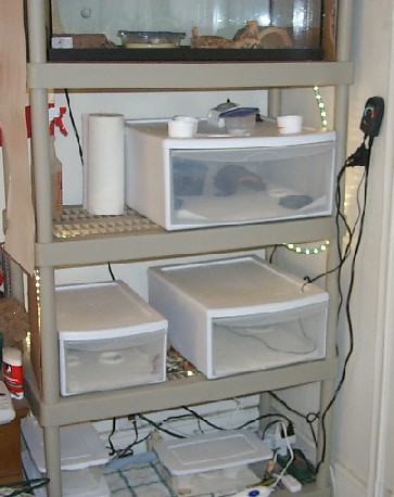 My "rack"