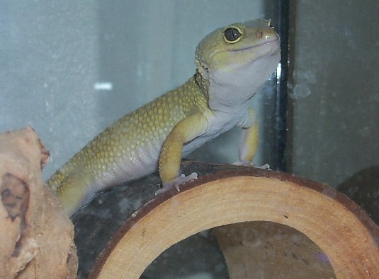 What're you lookin' at?