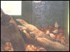Feed'em