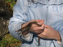Me holding NW Garters