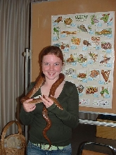 Columbian rainbow boa and I