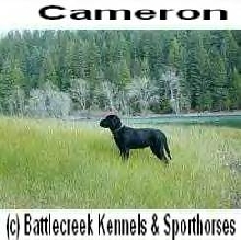 Cameron