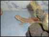 bobbie2