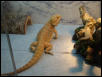 spike2