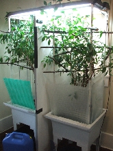 compact-freerange