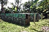 Prasinus Breeding Enclosures