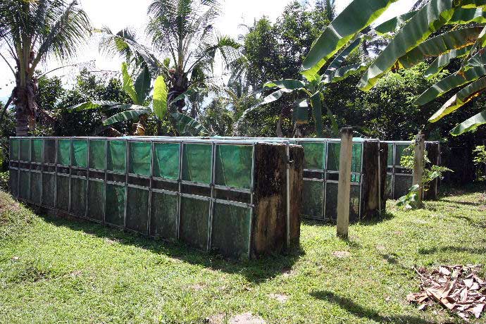 Prasinus Breeding Enclosures