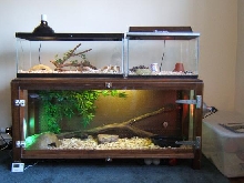 Display