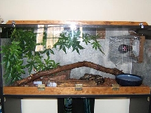 Ball Cage