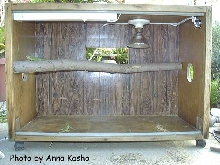 iguana cage