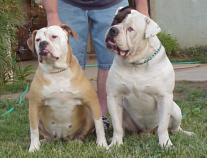 Ziggy & Yohan