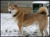 Mikito snow 2