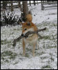 Mikito with stick