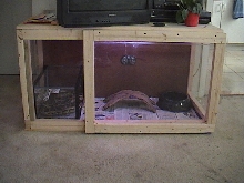 Burm cage