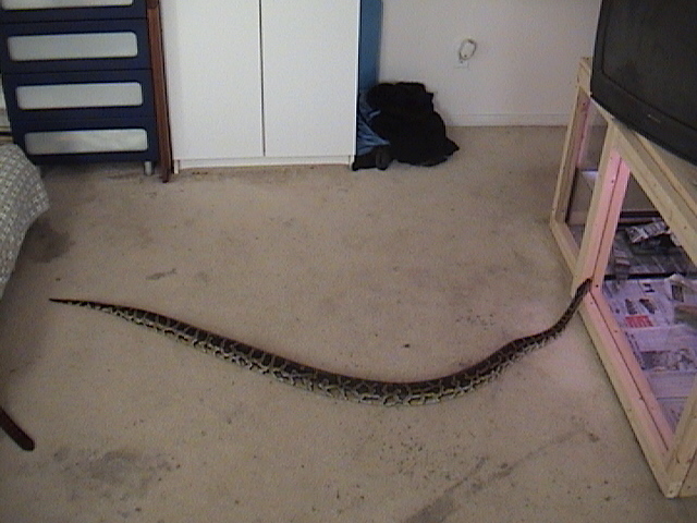 Burm stretching