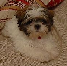 baby Fonzie