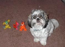 fonzie and friends