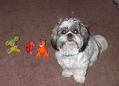 fonzie and friends