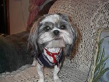 Fonzie's new sweater