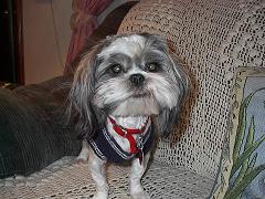 Fonzie's new sweater