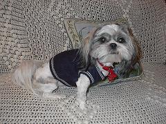 Fonzie's new sweater 2
