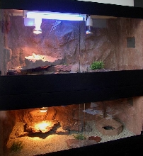 New cages