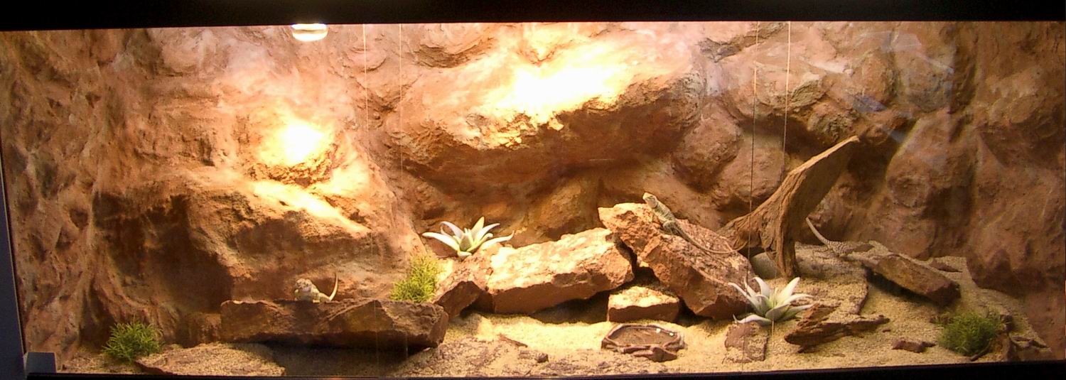 My new terrarium