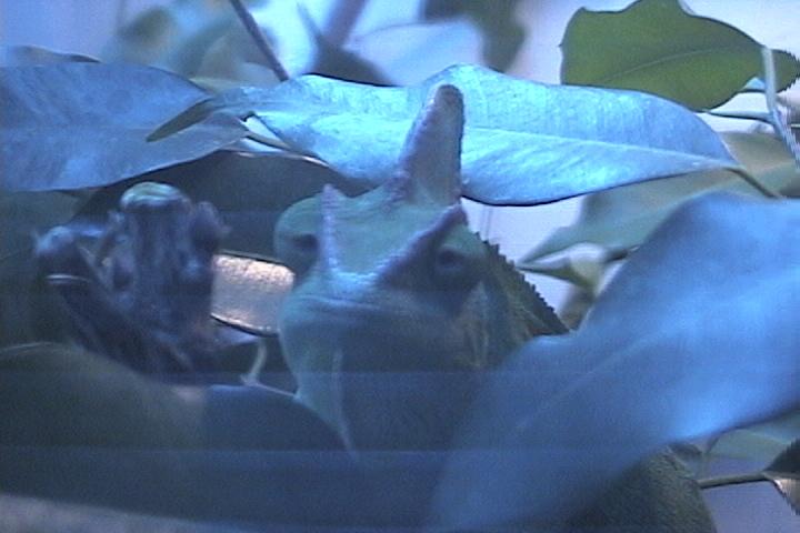 I SEE YOU