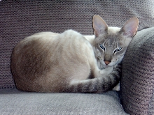 Juliette
