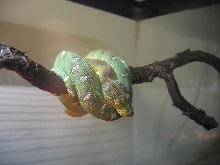ETB