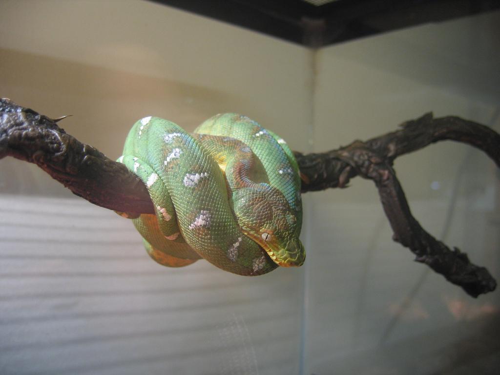 ETB