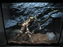 JCP Enclosure