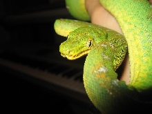 closeup2