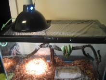 setup