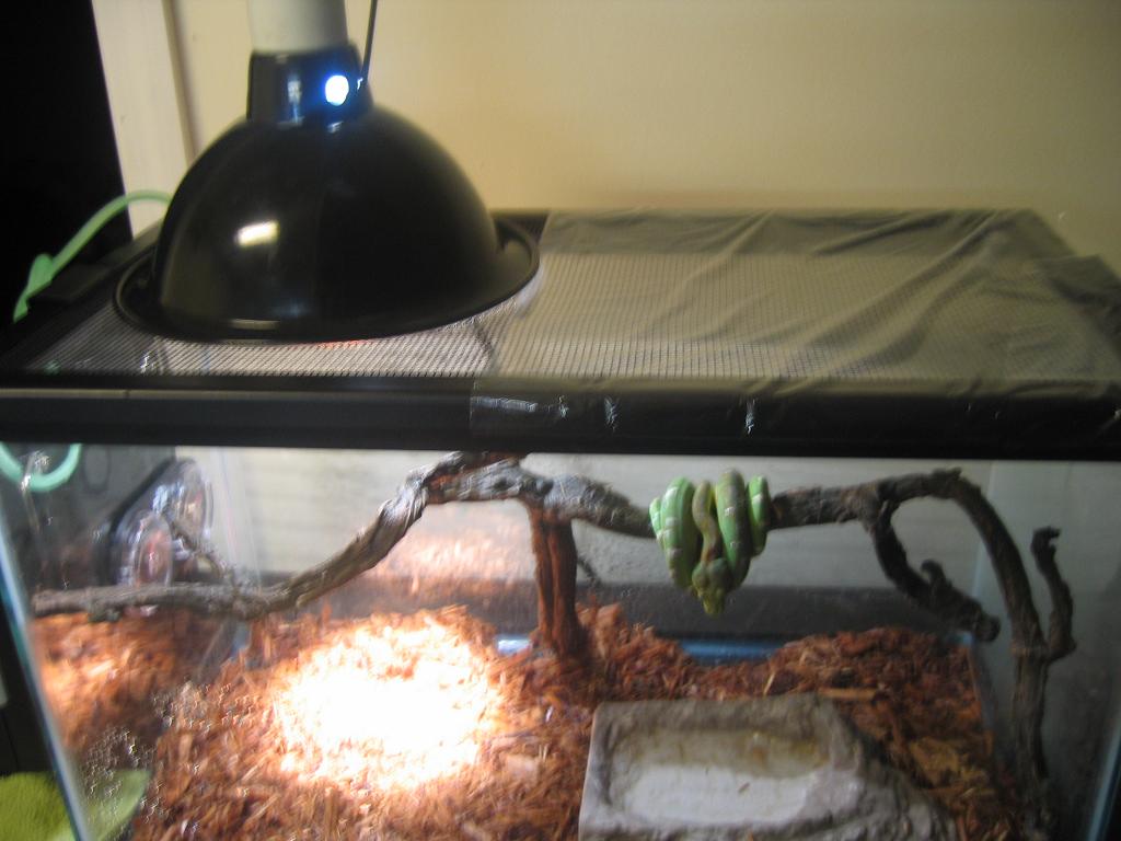 setup