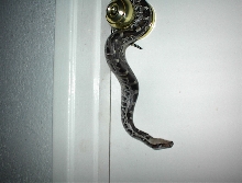 just hangin out
